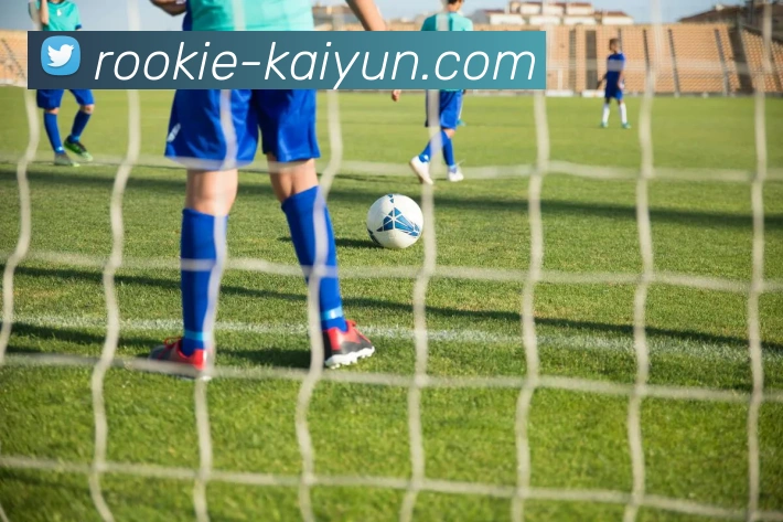 开云官网平台生态图