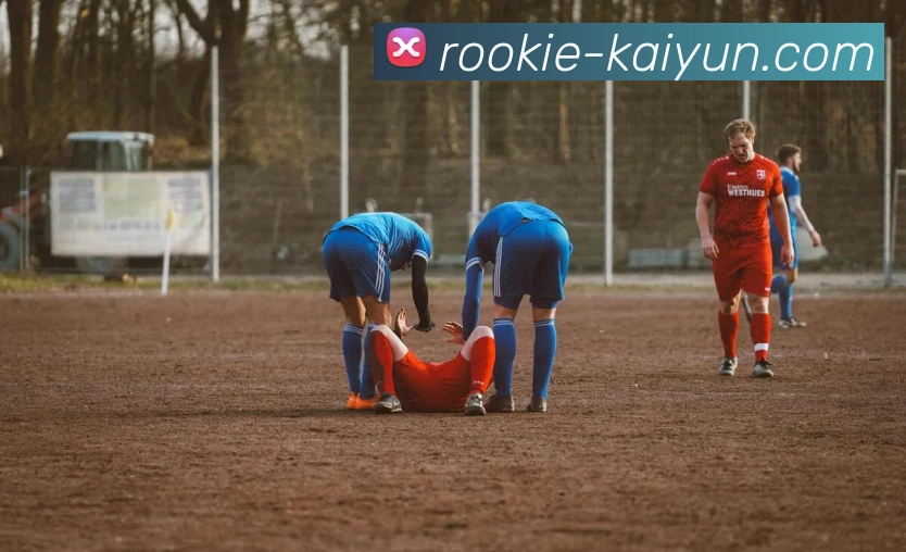 开云官网APP 封面图