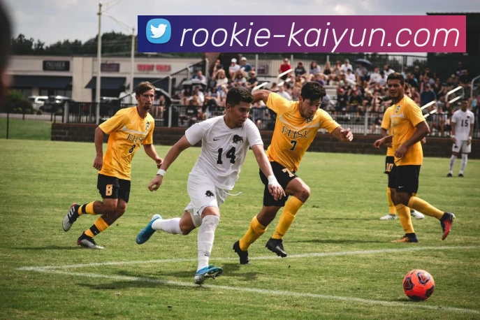 数据防护可视化